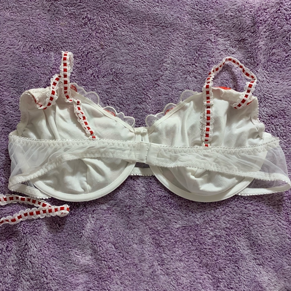 Strawberry Embroidered Lingerie Set - image 4